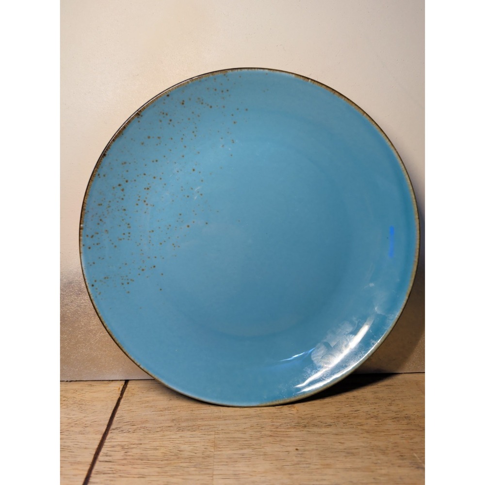 222 FIFTH AVENUE REACTIVE GLAZE AQUA SPECKLED 10 1/4 DINNER PLATES